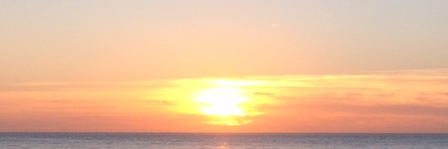 Sandra Weinert banner