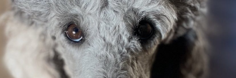 samuelmarbs4's profile banner image