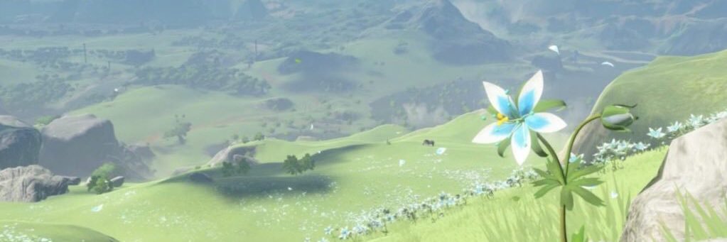 aeldunari's profile banner image