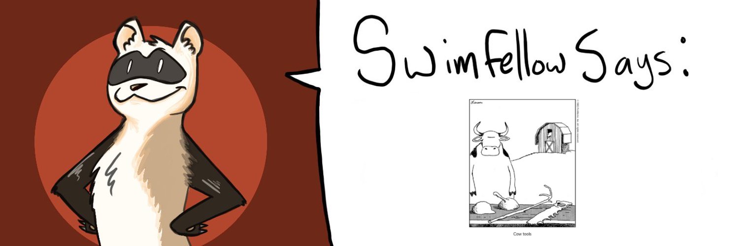 swimfellow's profile banner image