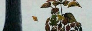 amitami22's profile banner image
