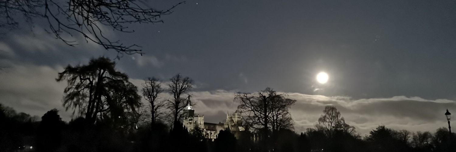 David Brazier banner