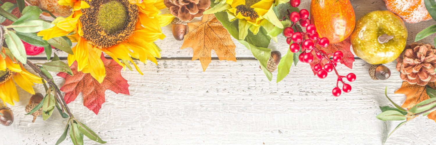Carson City Library banner