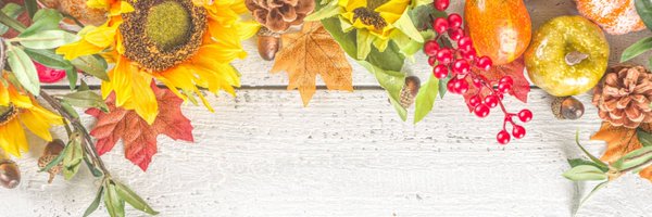 carsoncitylib Profile Banner