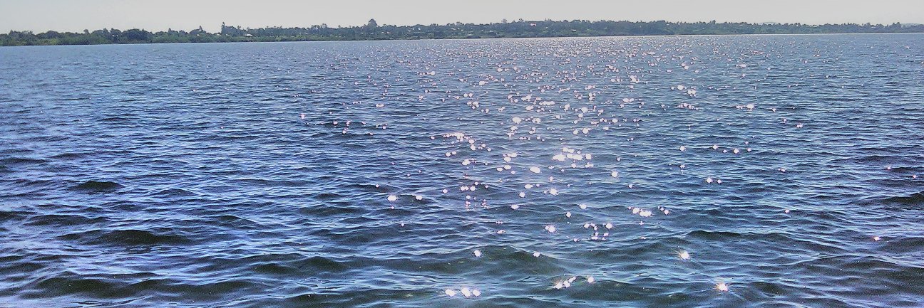 Vincent Awange banner