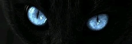 IndraFernanda5's profile banner image