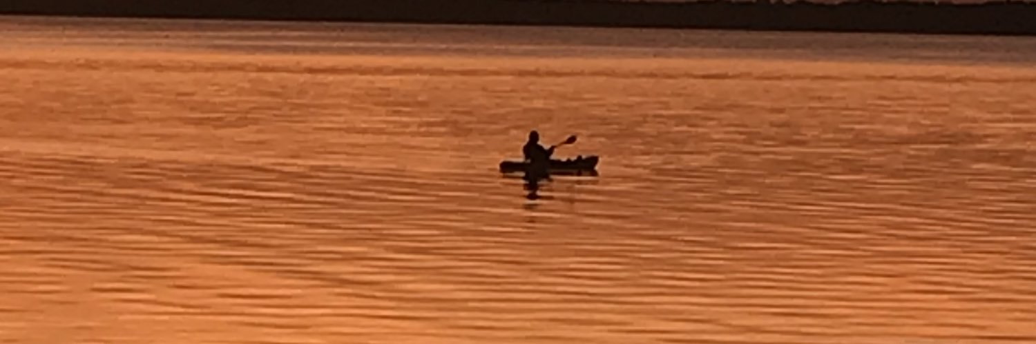 Scott Maynard banner