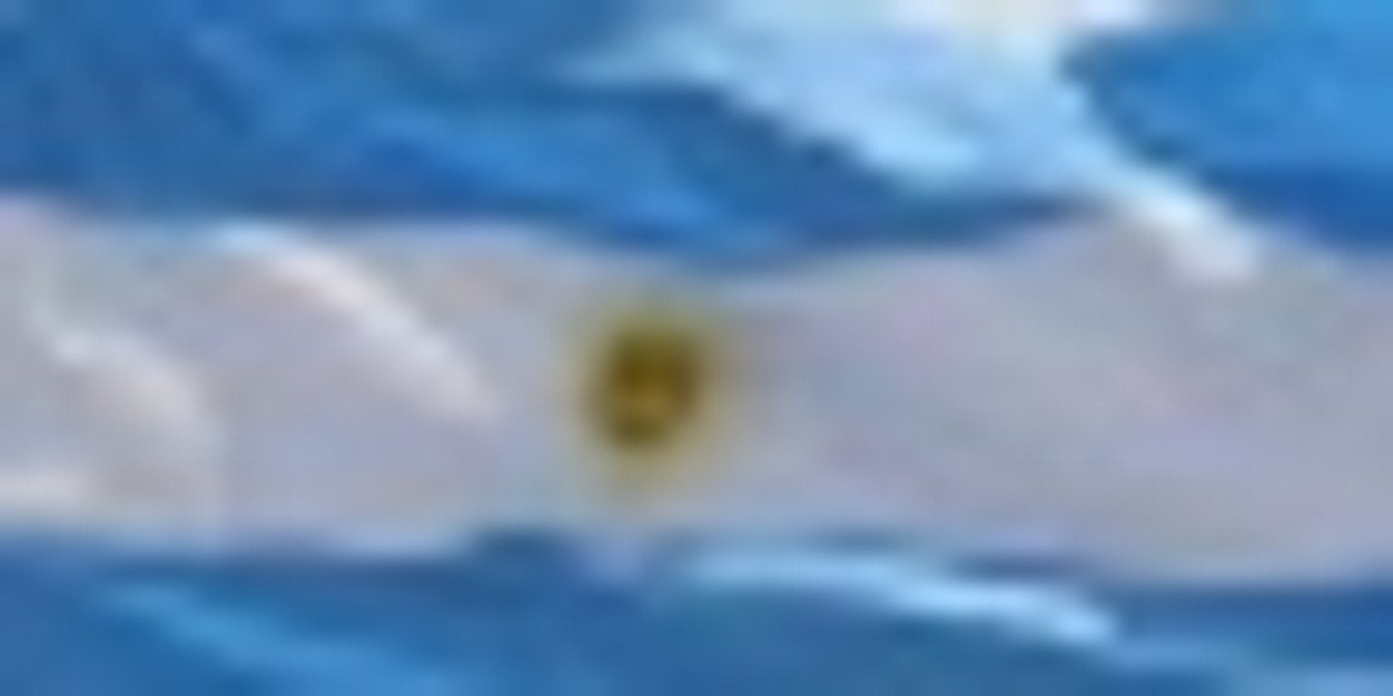 Marcela Zanoni banner