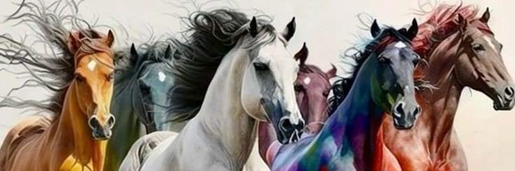 Z M Z banner