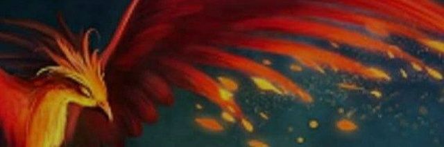 Crypto Phoenix 🇮🇳 banner