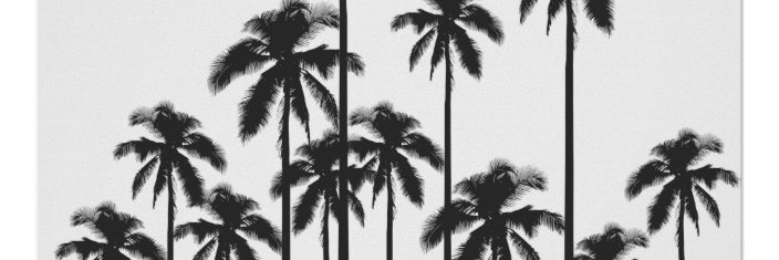 eiman_official's profile banner image