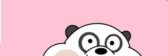novystevani's profile banner image