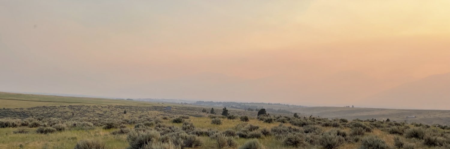 RachLHansen's profile banner image