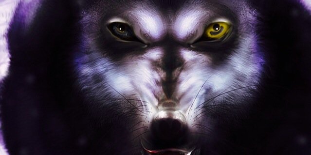 ShaunCMontague's profile banner image