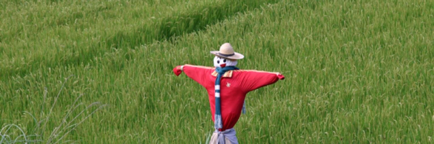 MegaToruToru's profile banner image