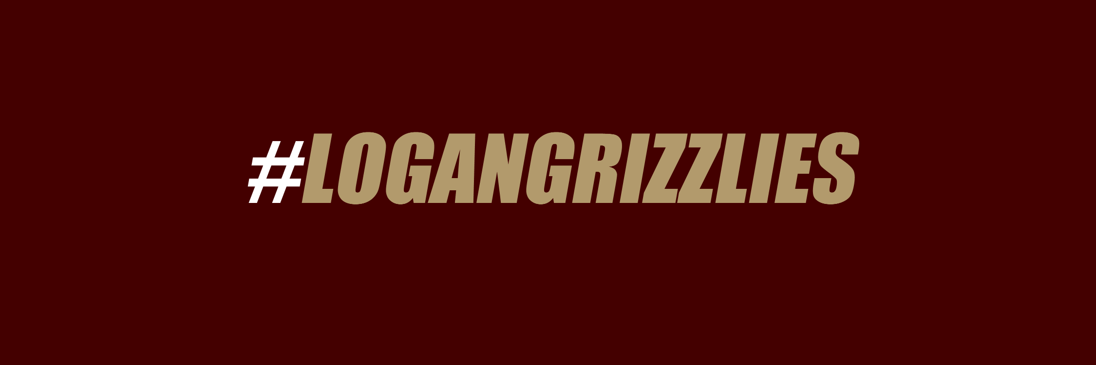 logangrizzlies's profile banner image