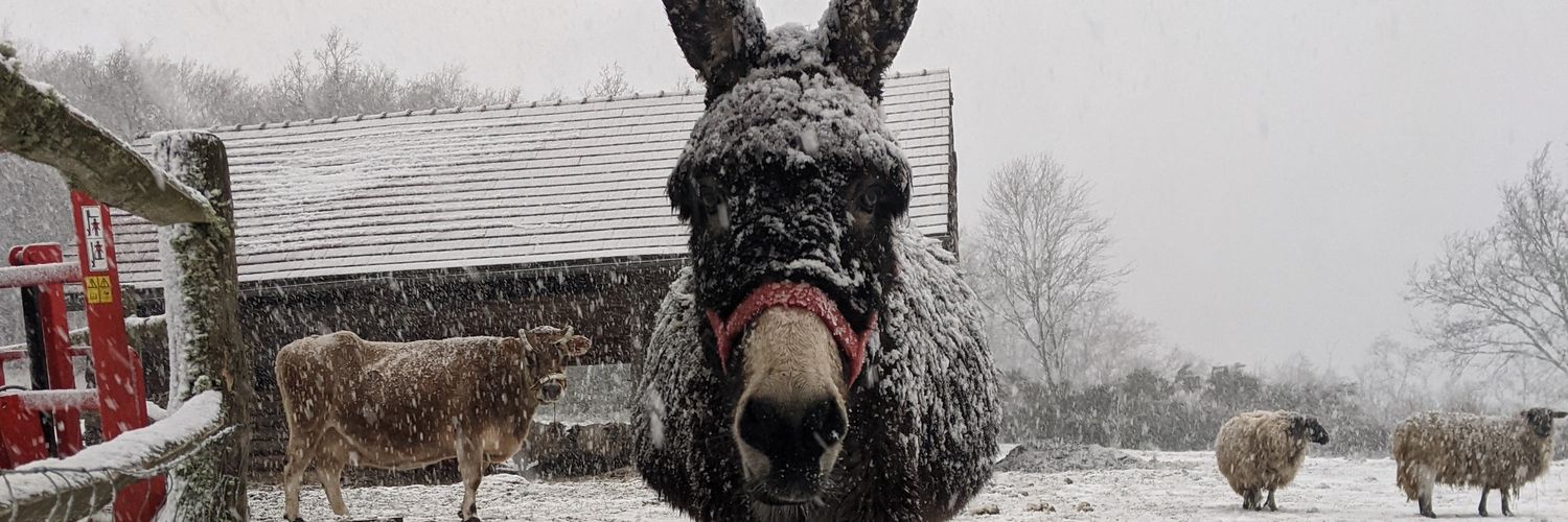 rojobernard's profile banner image