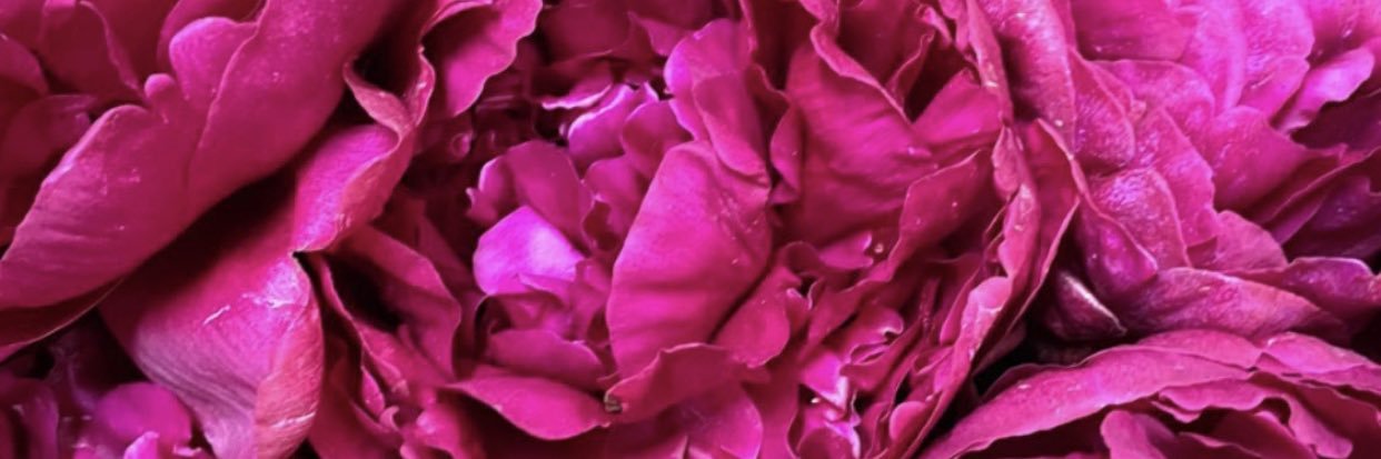 pathsalazar's profile banner image