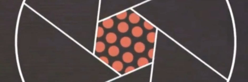 brandonltran's profile banner image