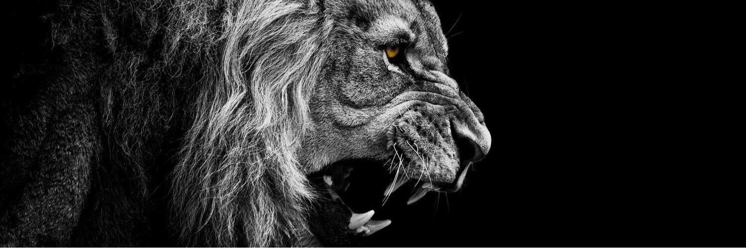 bartukapiz's profile banner image