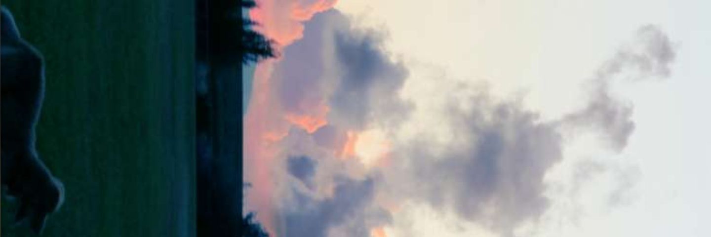 S3TH_NS's profile banner image