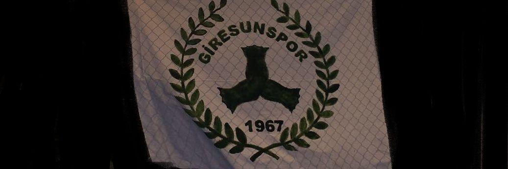 tayfunavnitosun's profile banner image