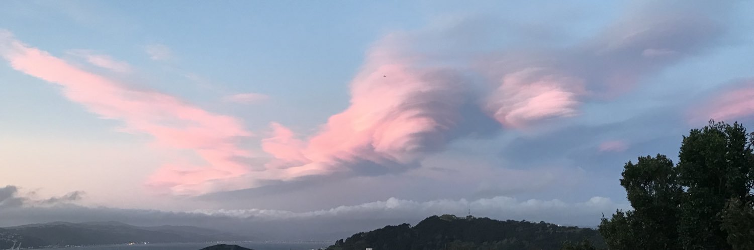 AshleeMParkes's profile banner image
