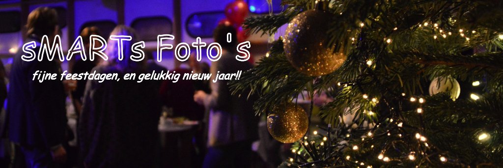 martie08's profile banner image