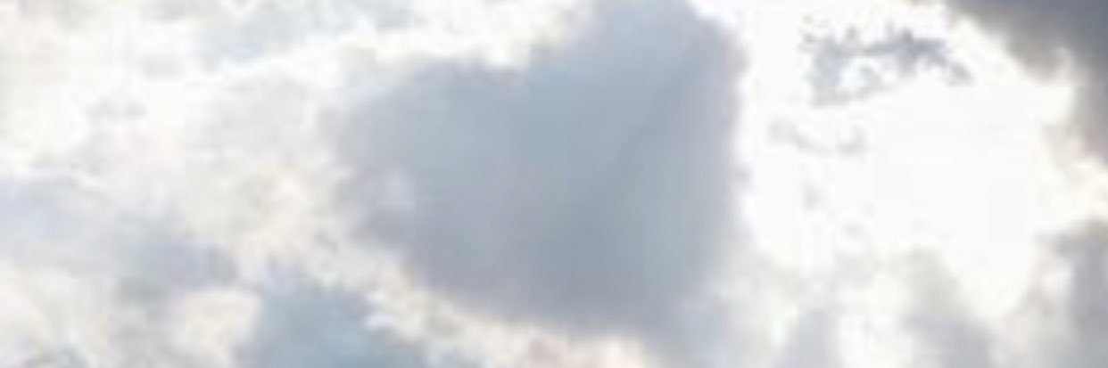 Ladylejon's profile banner image
