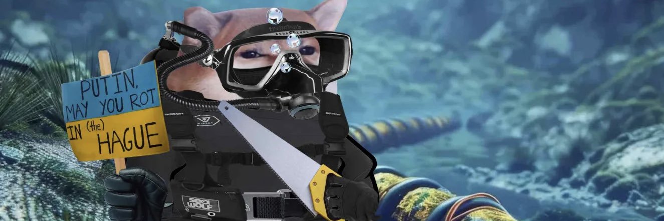 Bot'mDwella Fella 🇦🇺🏴󠁧󠁢󠁥󠁮󠁧󠁿🇺🇦 banner