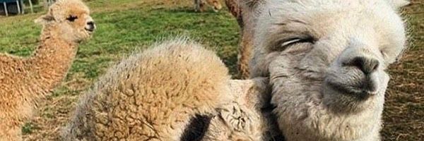 Andream9212's profile banner image