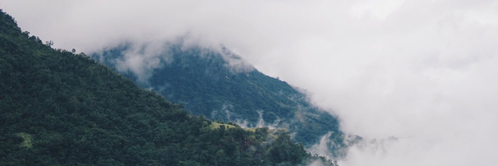 pigone01's profile banner image
