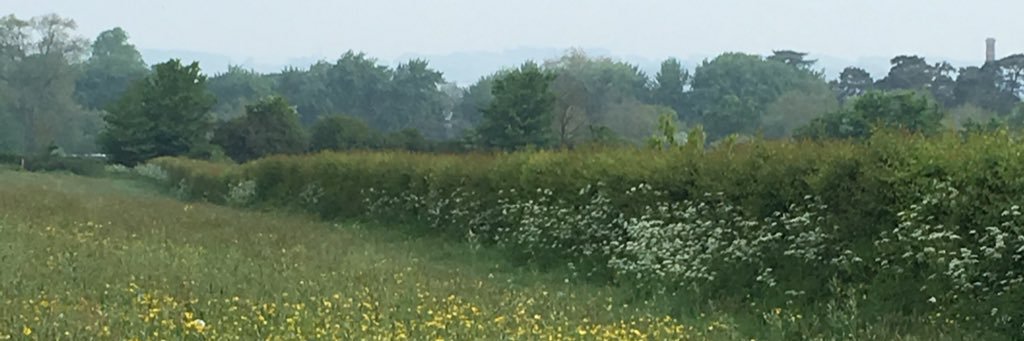 Caroline Greaves banner