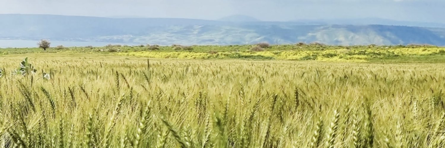 KornZvi's profile banner image
