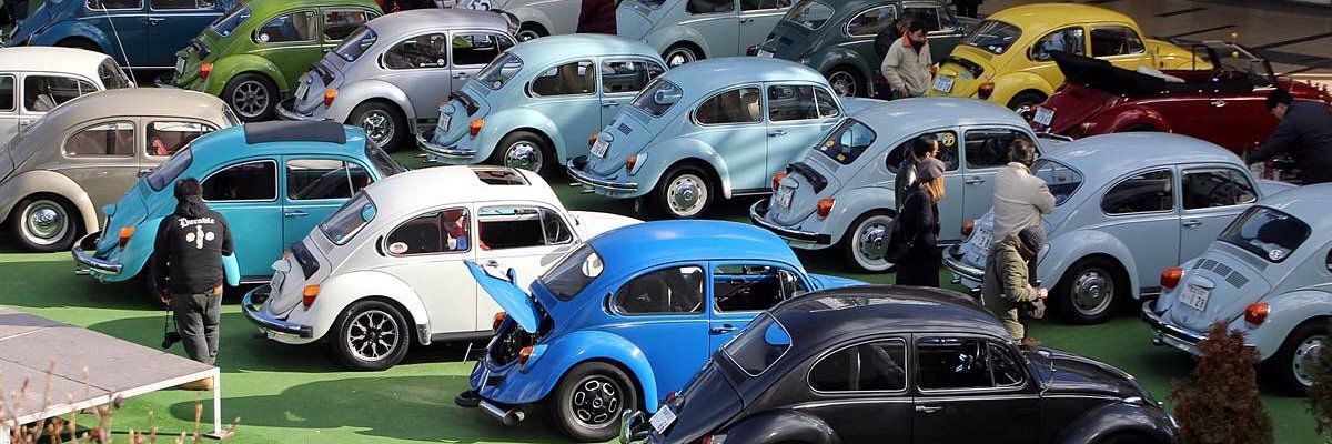 BluensteinMria's profile banner image