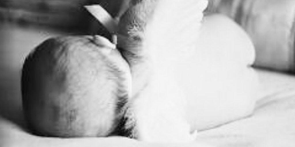 meiryz's profile banner image