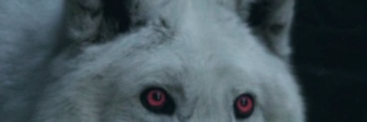NickTheMook's profile banner image