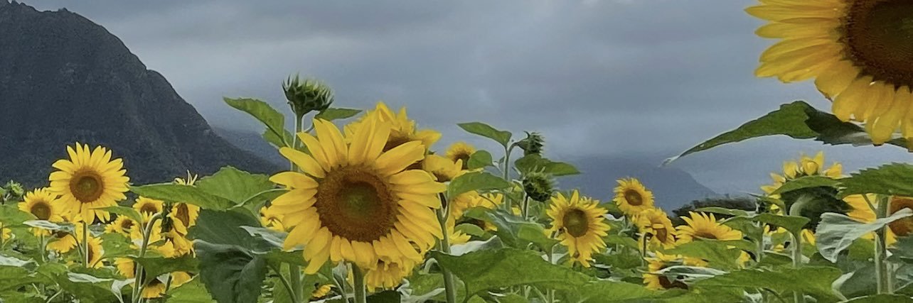 _kamalanz's profile banner image