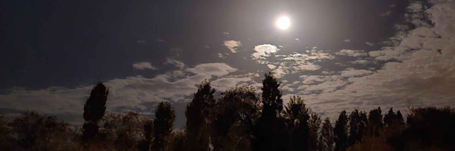 mehtapciftci91's profile banner image