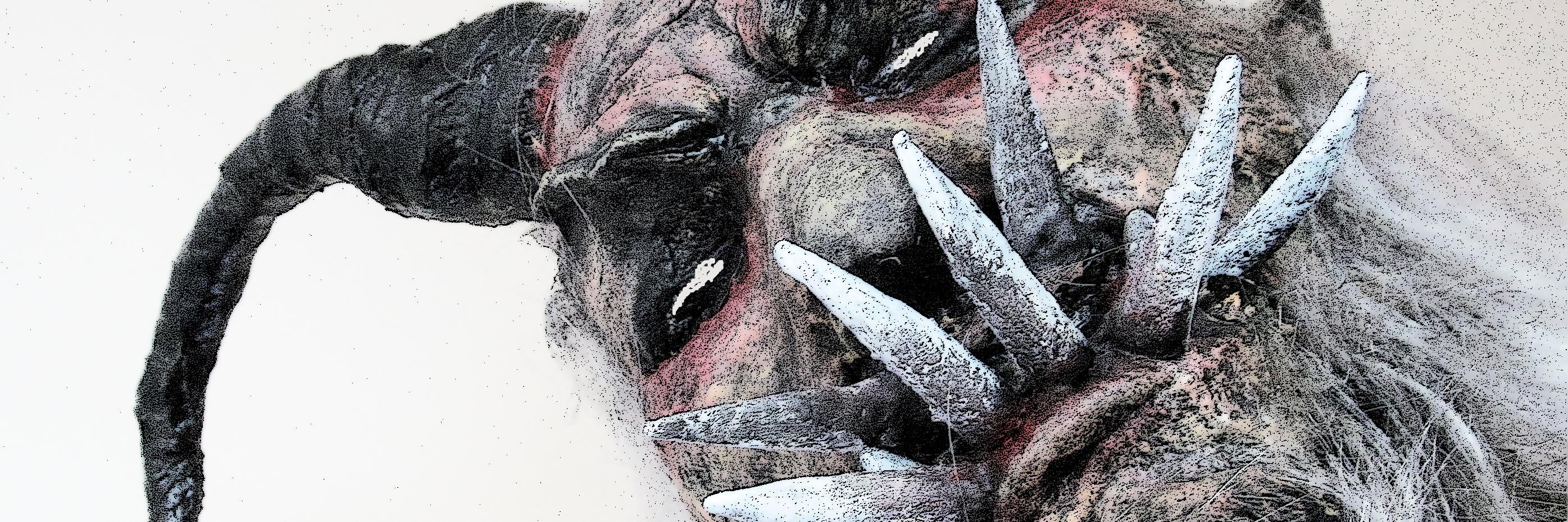 KrampusU's profile banner image