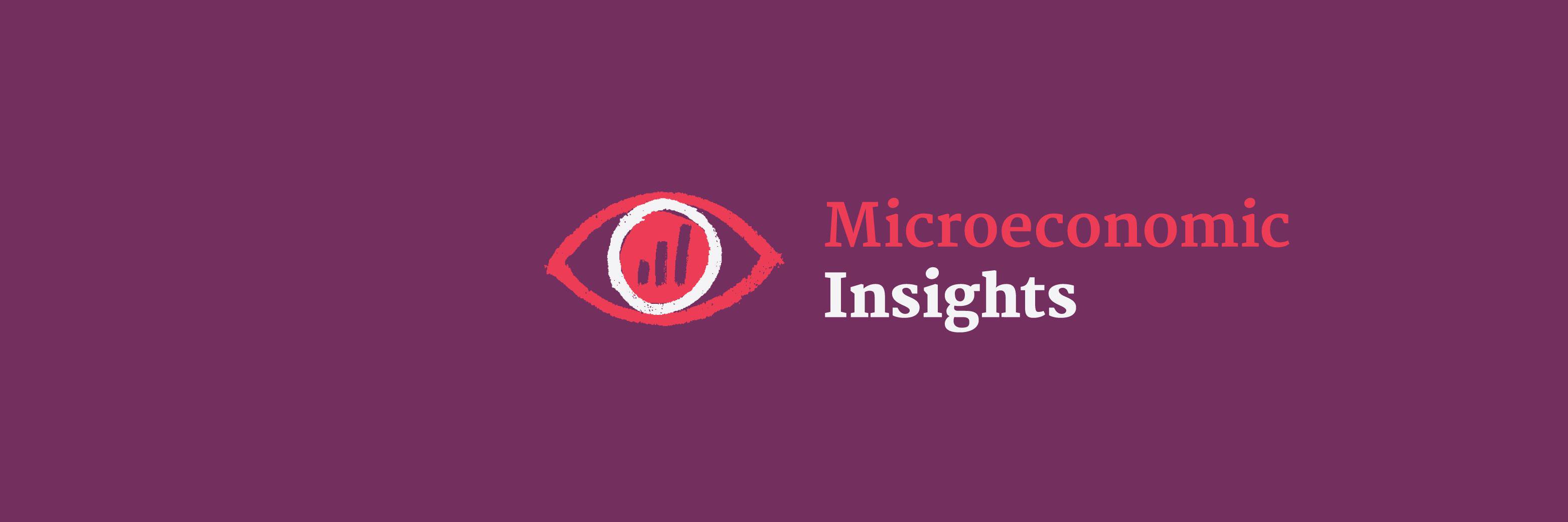 MicroEconInsights banner