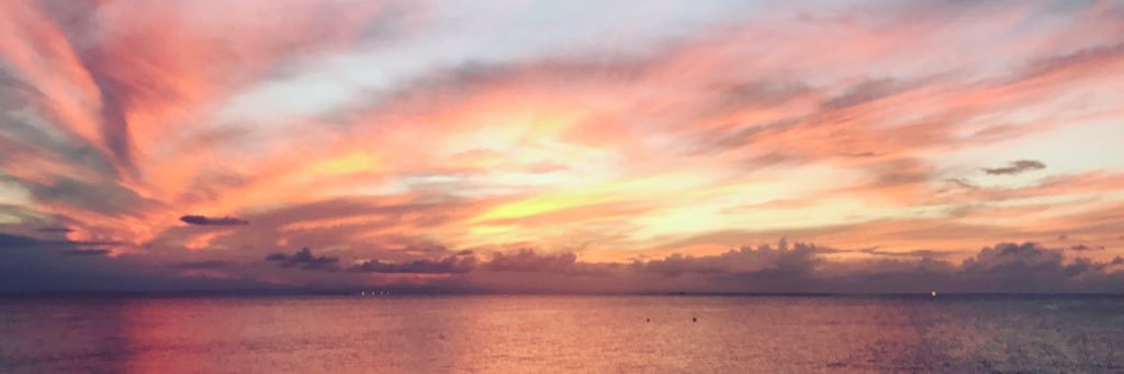 peter_harris_'s profile banner image