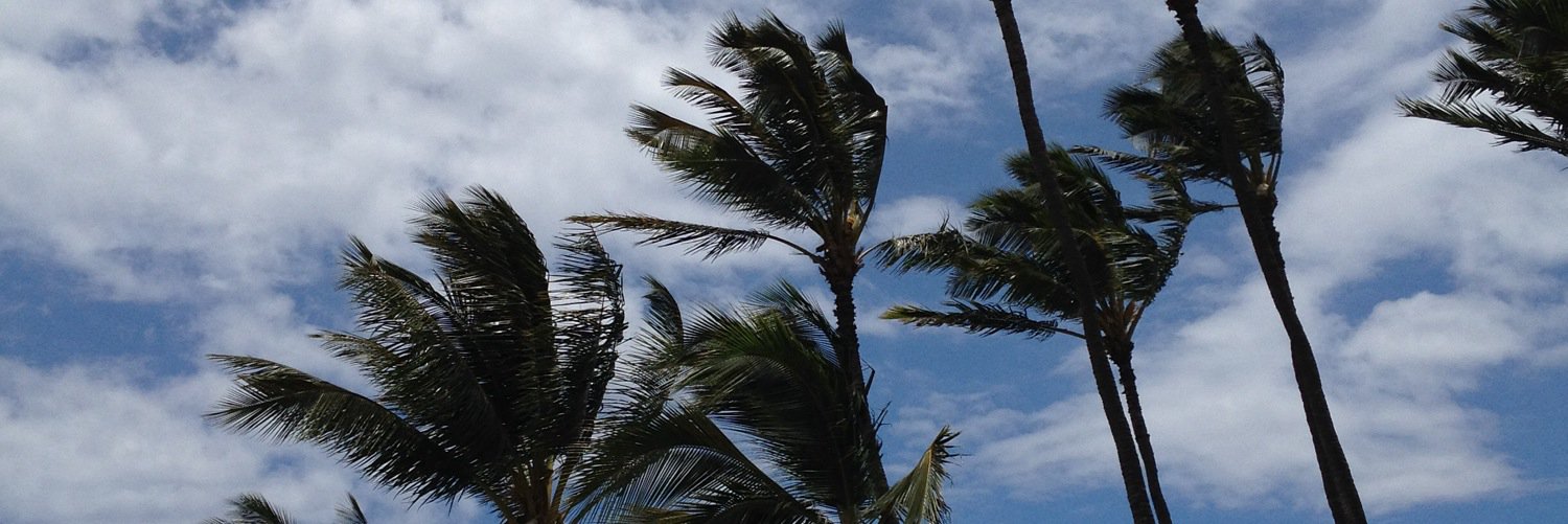 JBURKHARTCARS's profile banner image