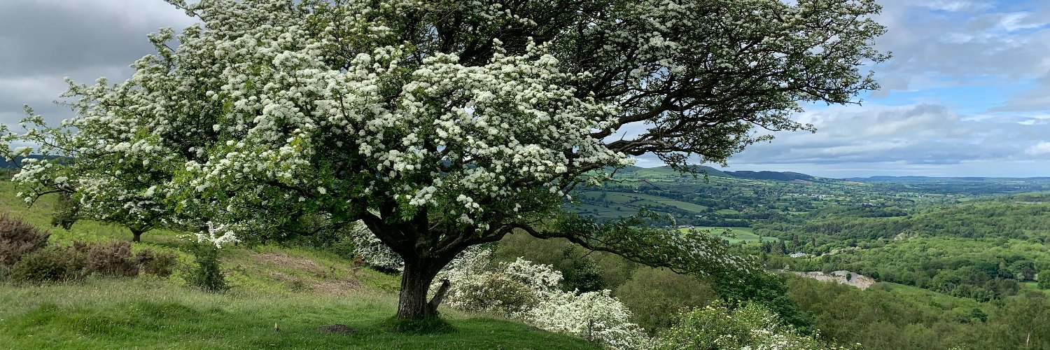 AnnaPMuir's profile banner image