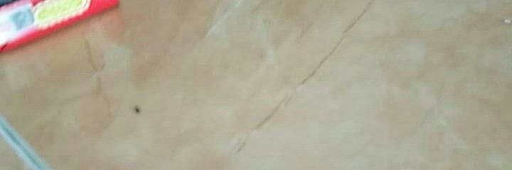 lemot12's profile banner image