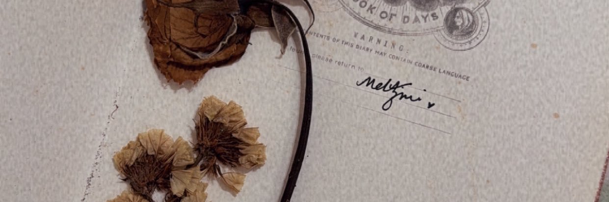 MelAzmii's profile banner image