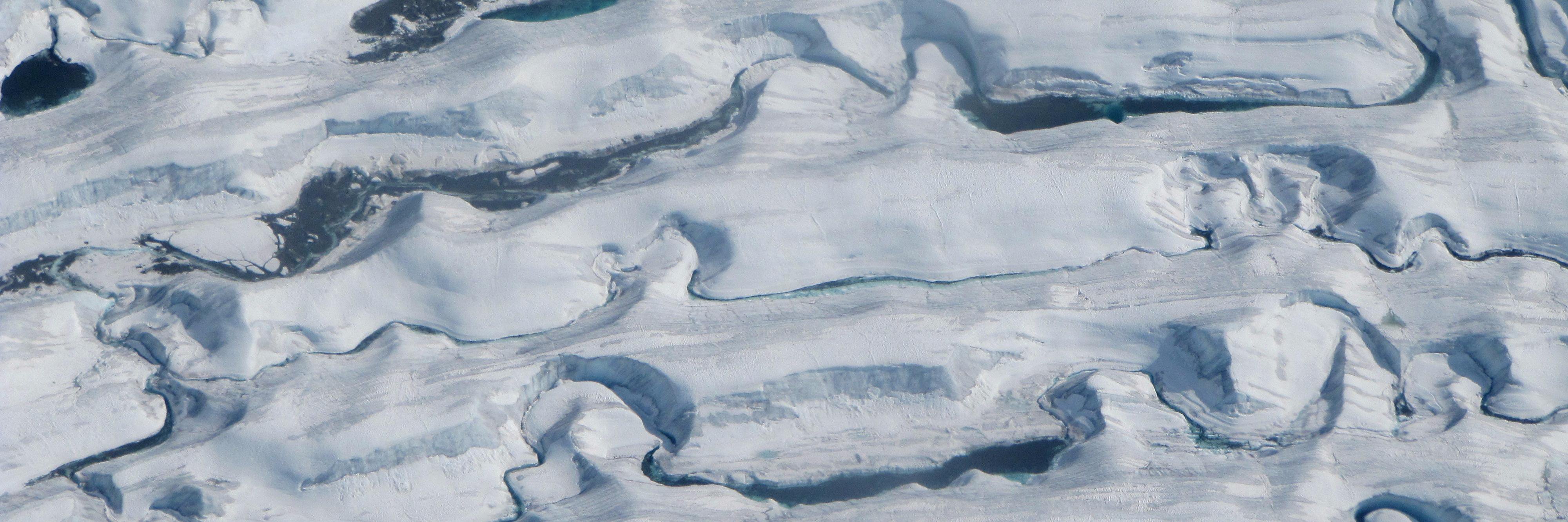 Dr Sophie Berger banner