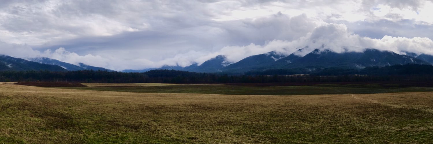 ellentanner's profile banner image