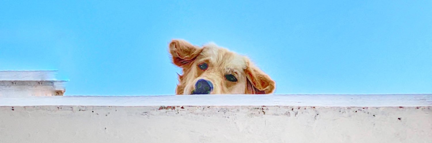 he_satwik's profile banner image