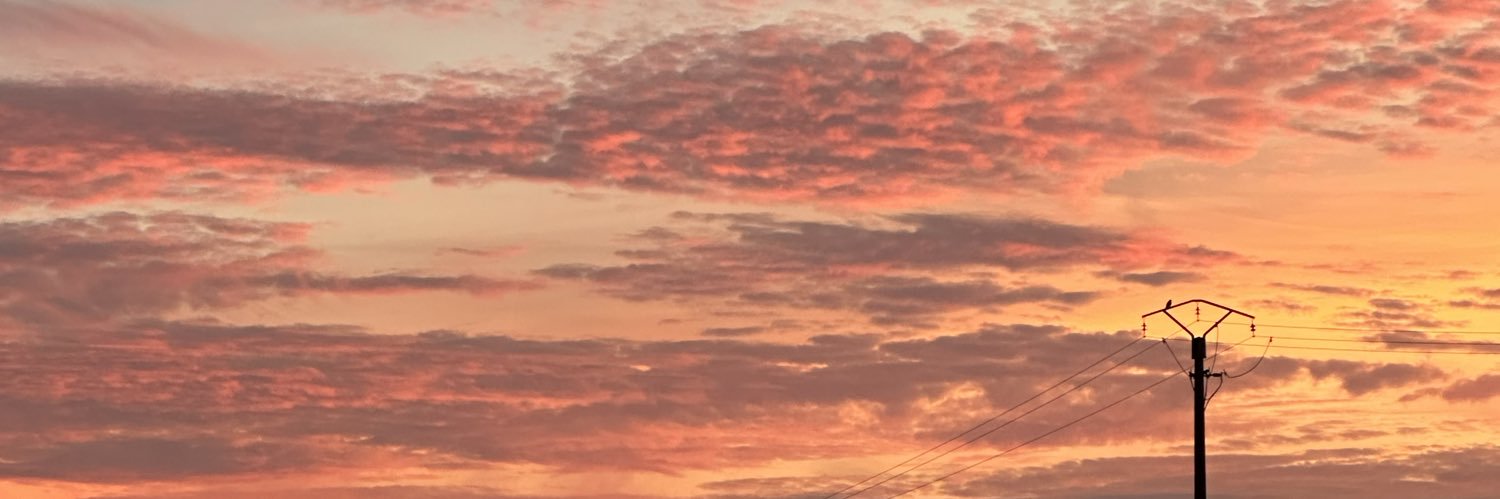 tiphfra's profile banner image